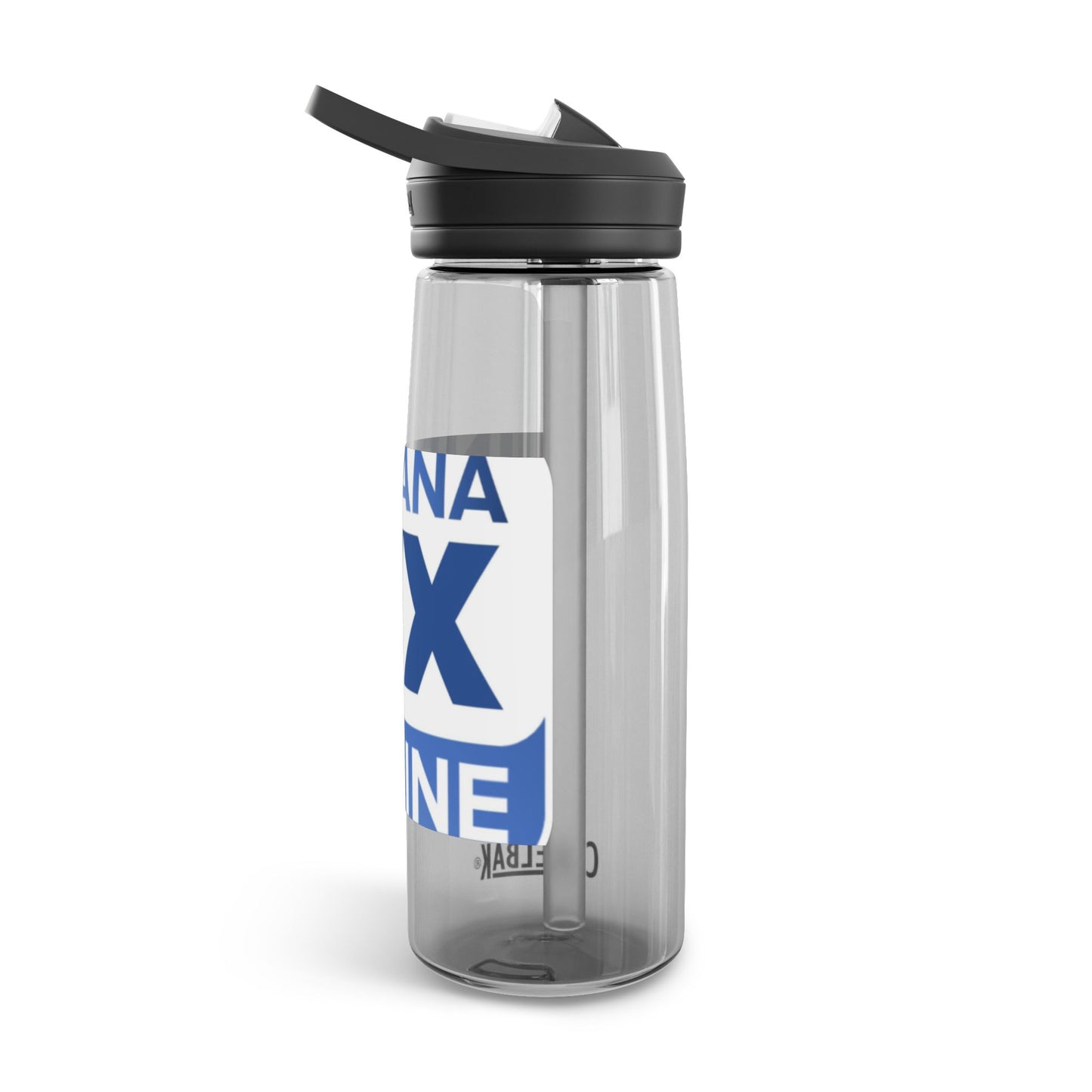 CamelBak Eddy® IWO Water Bottle