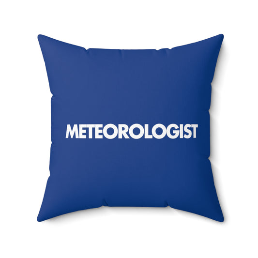 Meteorologist Throw Pillow