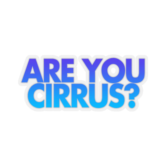 Are You Cirrus? Sticker