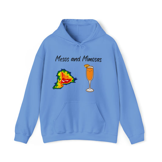 Mesos and Mimosas Hoodie