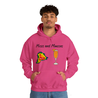 Mesos and Mimosas Hoodie