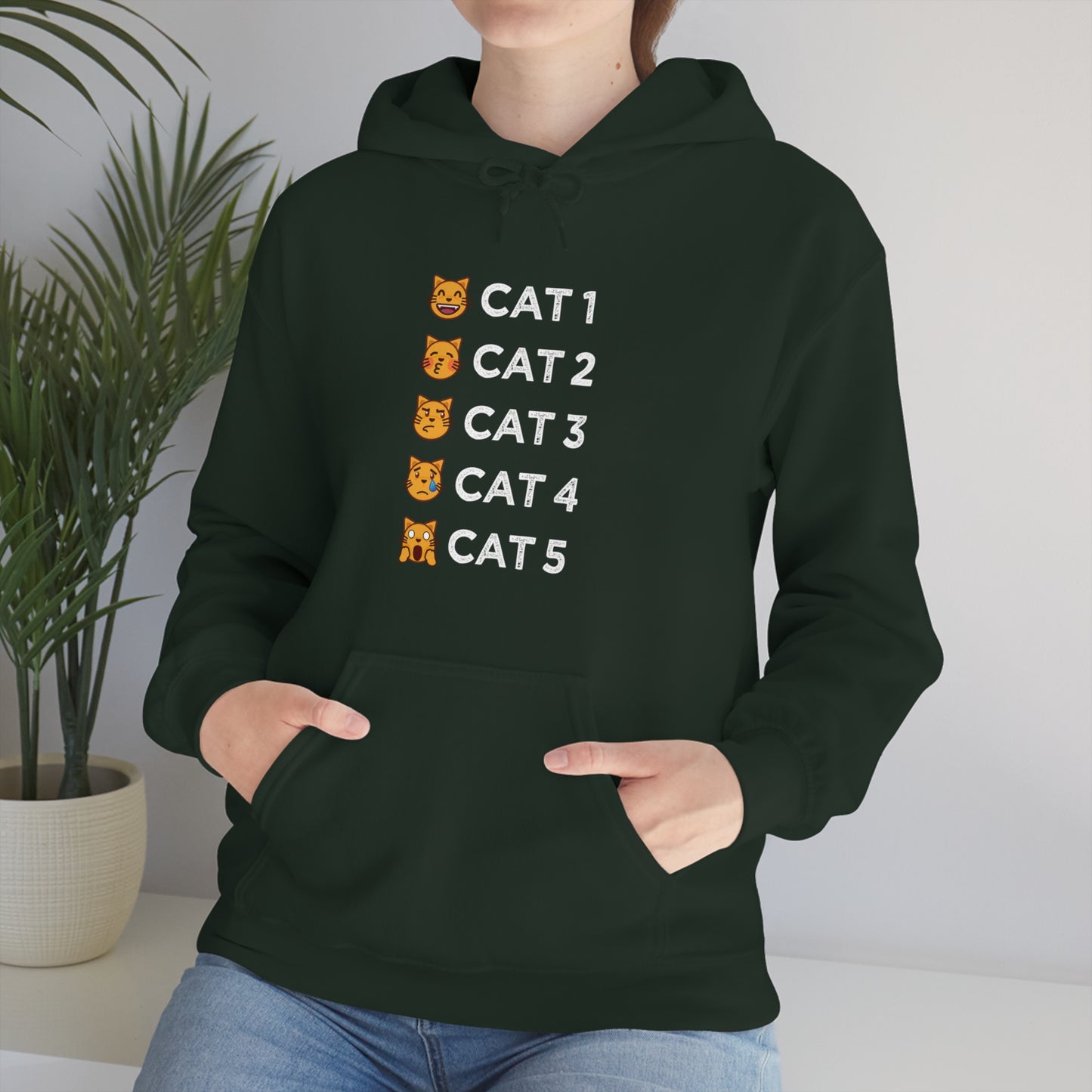 Cat-Egories Hoodie