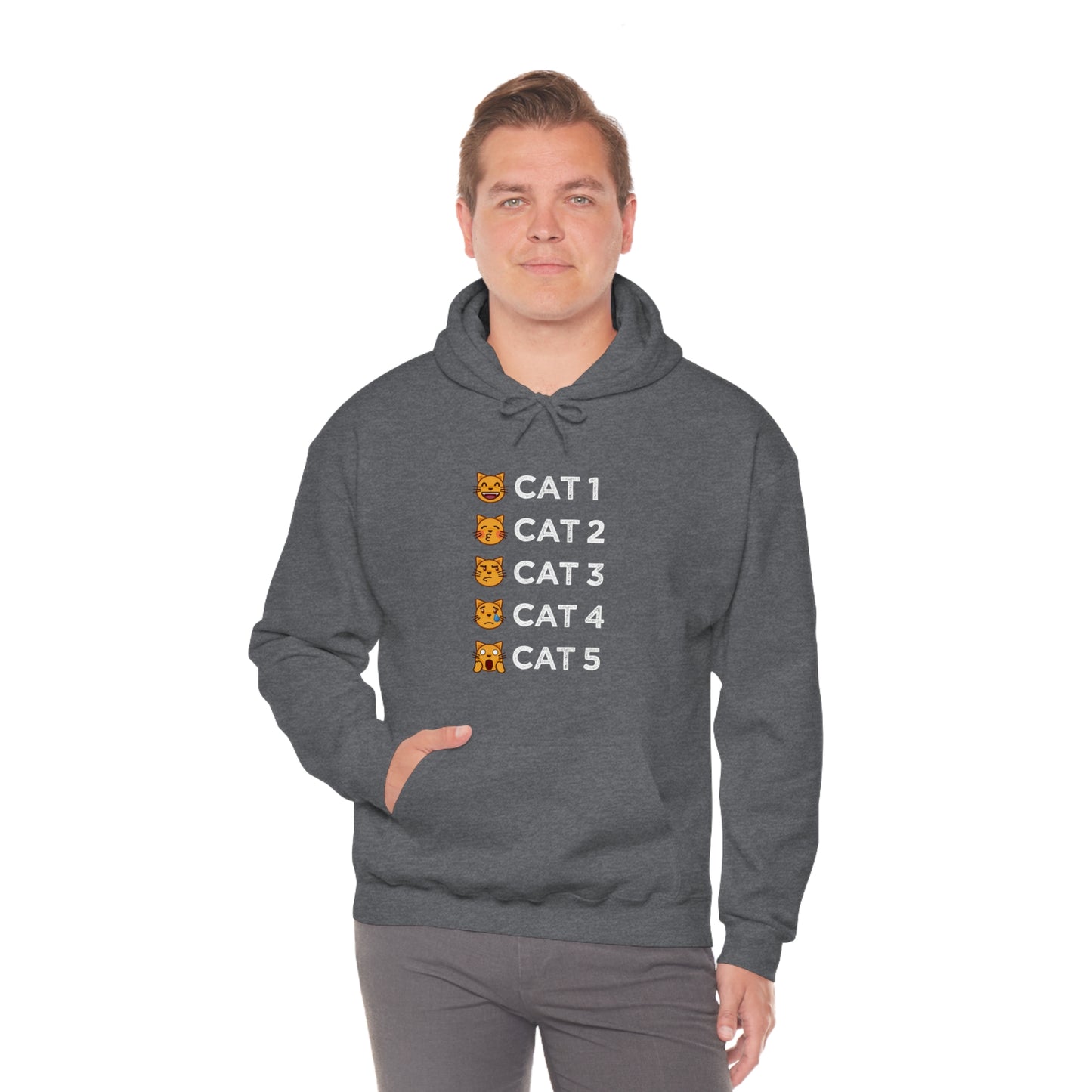 Cat-Egories Hoodie