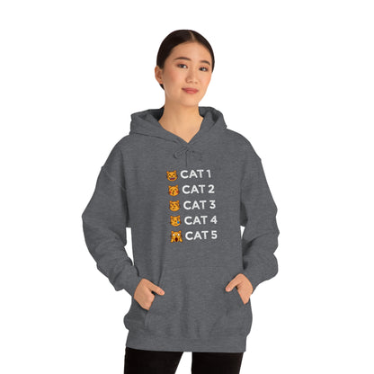 Cat-Egories Hoodie