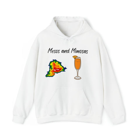 Mesos and Mimosas Hoodie
