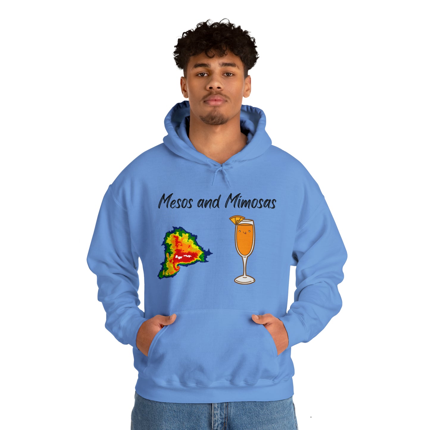 Mesos and Mimosas Hoodie