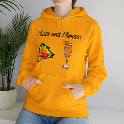 Mesos and Mimosas Hoodie