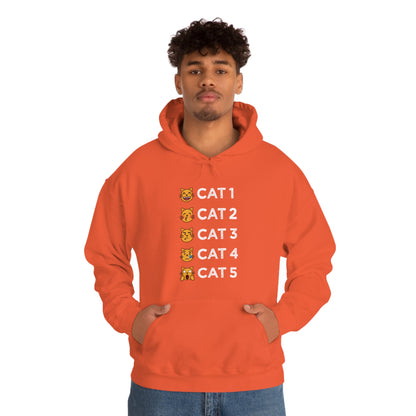 Cat-Egories Hoodie