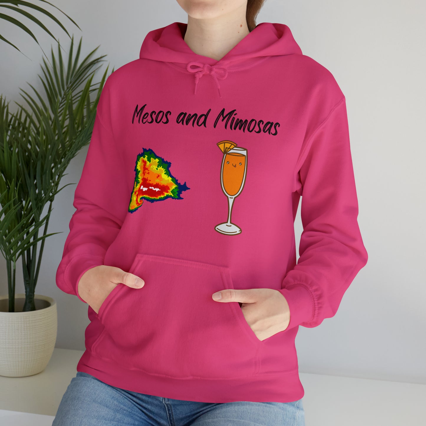 Mesos and Mimosas Hoodie