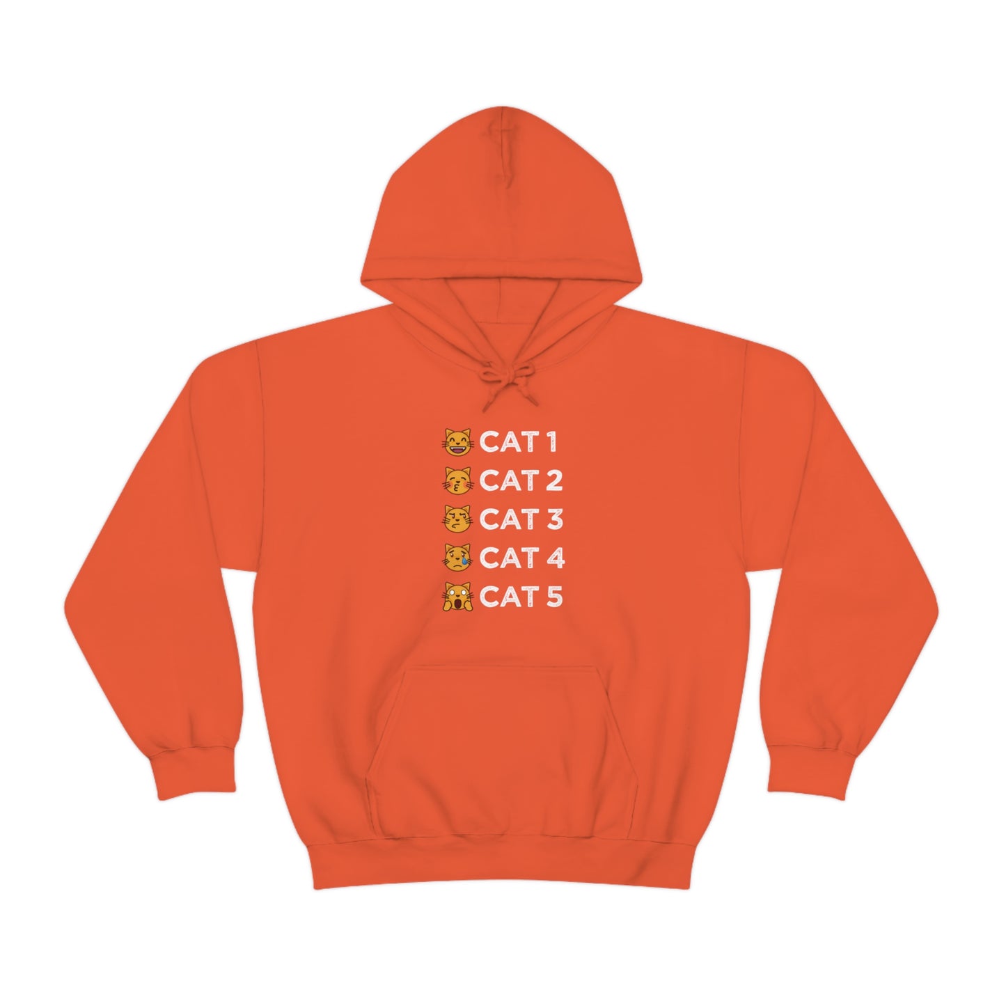 Cat-Egories Hoodie