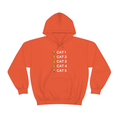 Cat-Egories Hoodie