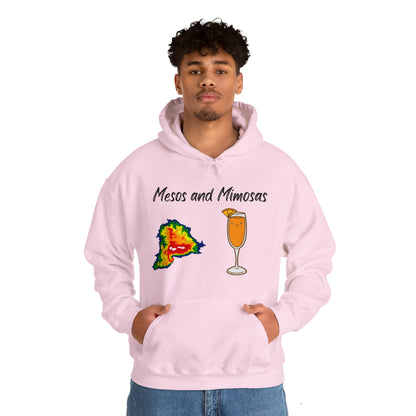 Mesos and Mimosas Hoodie