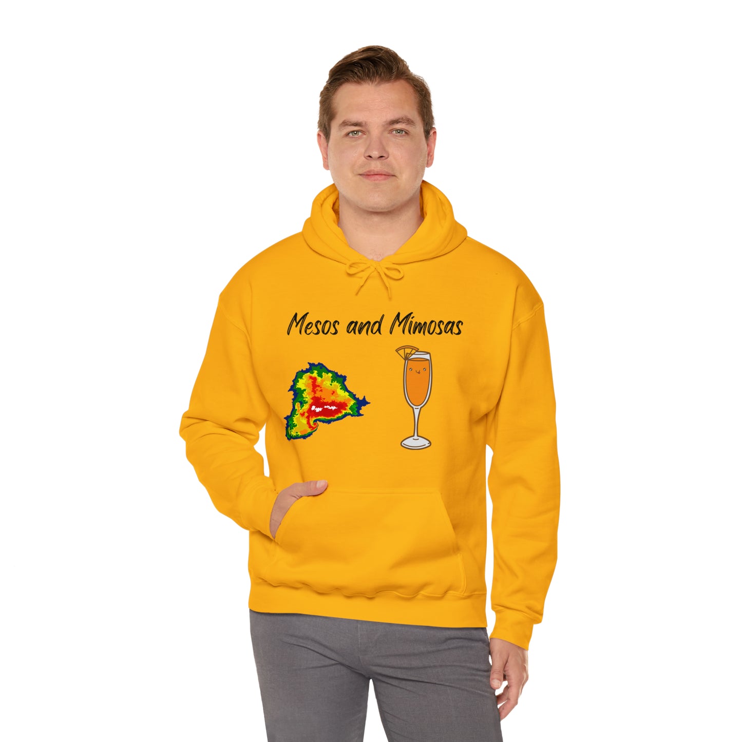 Mesos and Mimosas Hoodie