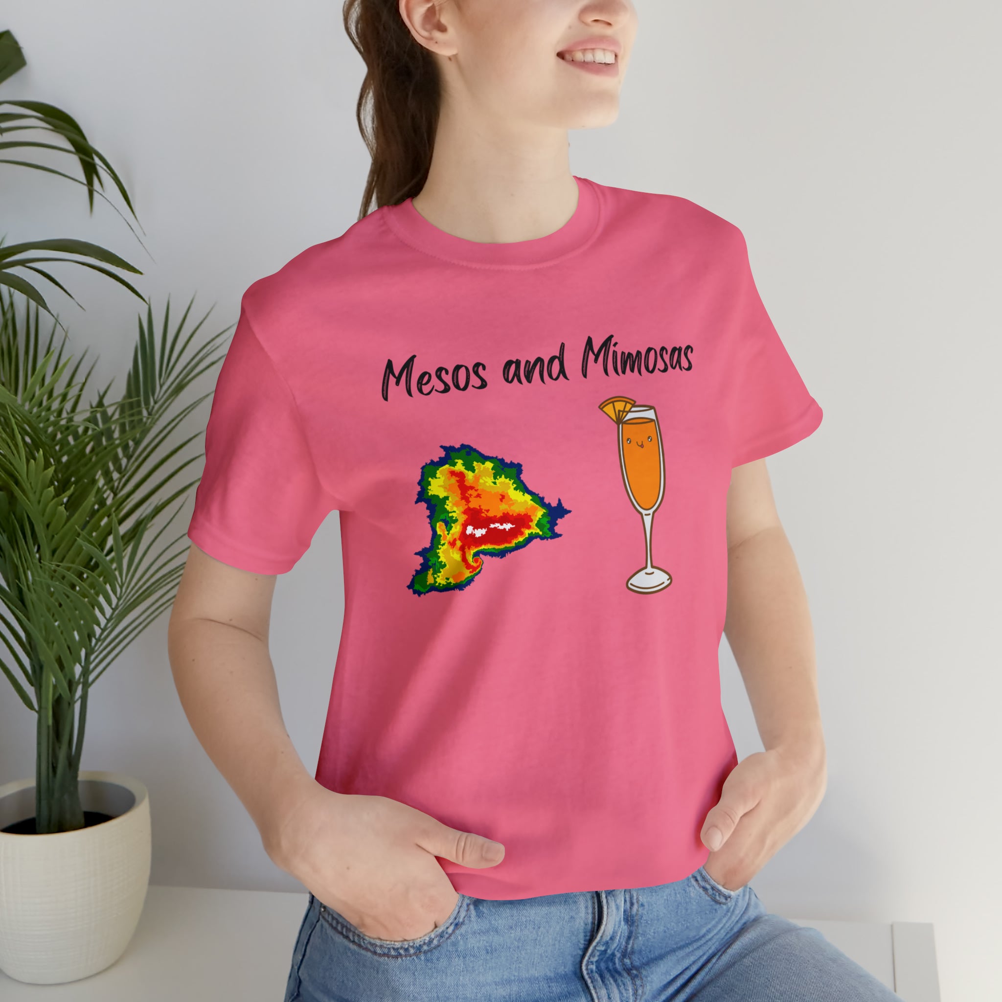 Mesos and Mimosas Tee 