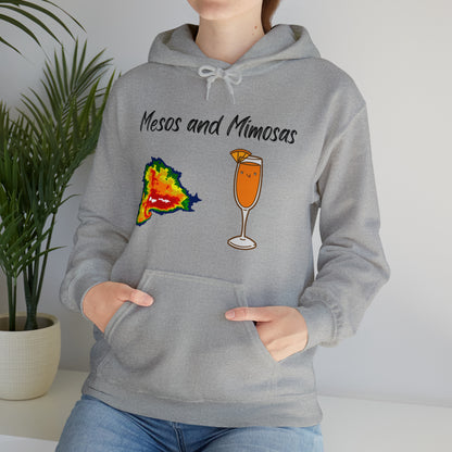 Mesos and Mimosas Hoodie