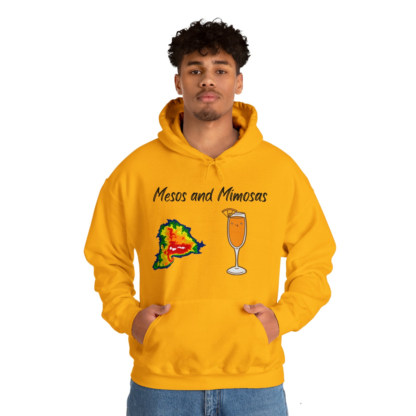 Mesos and Mimosas Hoodie