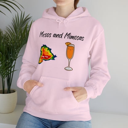 Mesos and Mimosas Hoodie