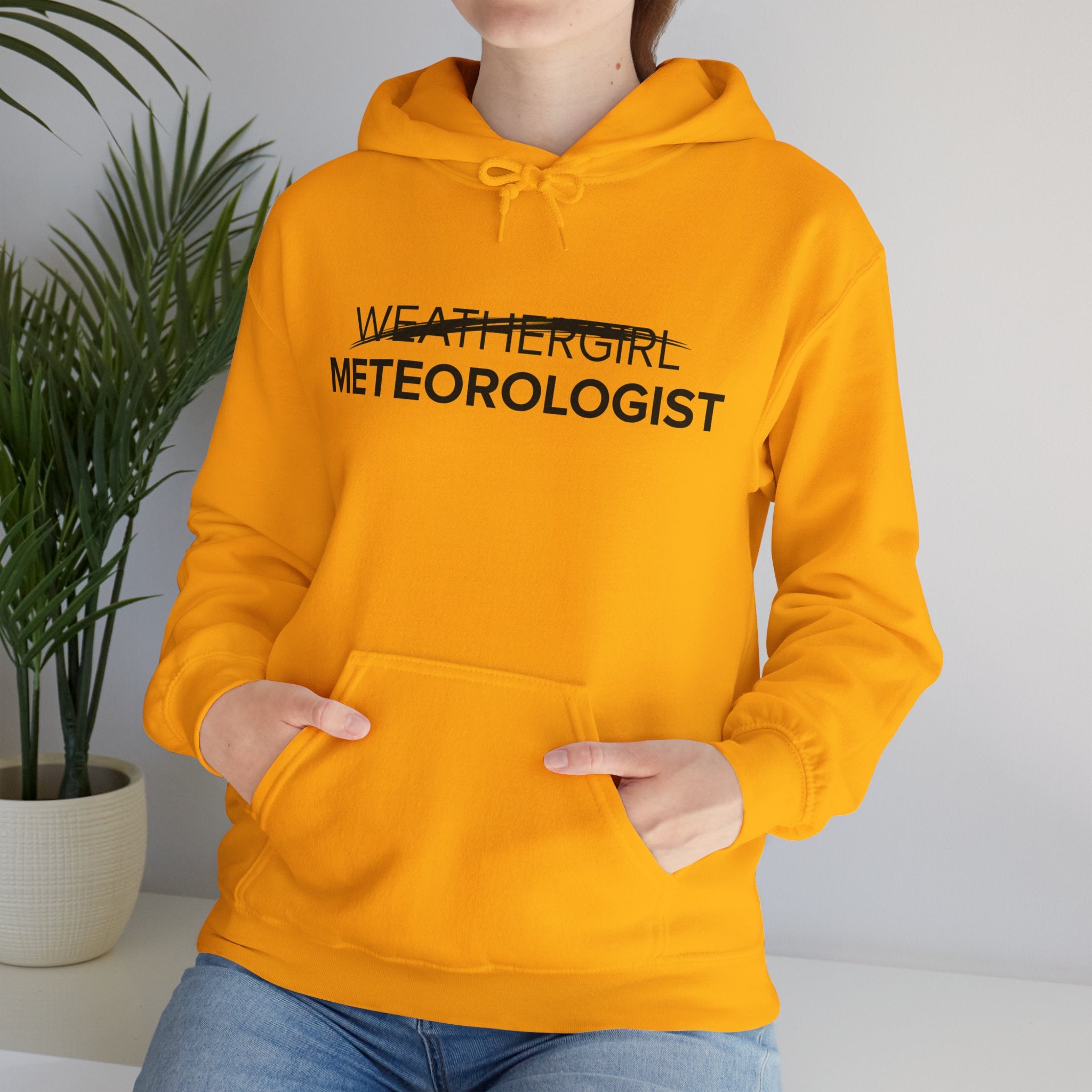 Not A WeatherGirl Hoodie 