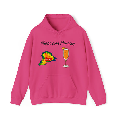 Mesos and Mimosas Hoodie