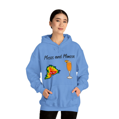 Mesos and Mimosas Hoodie