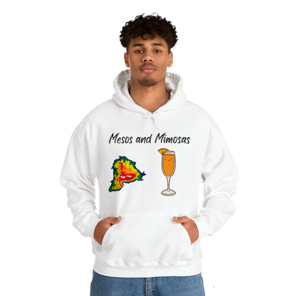 Mesos and Mimosas Hoodie