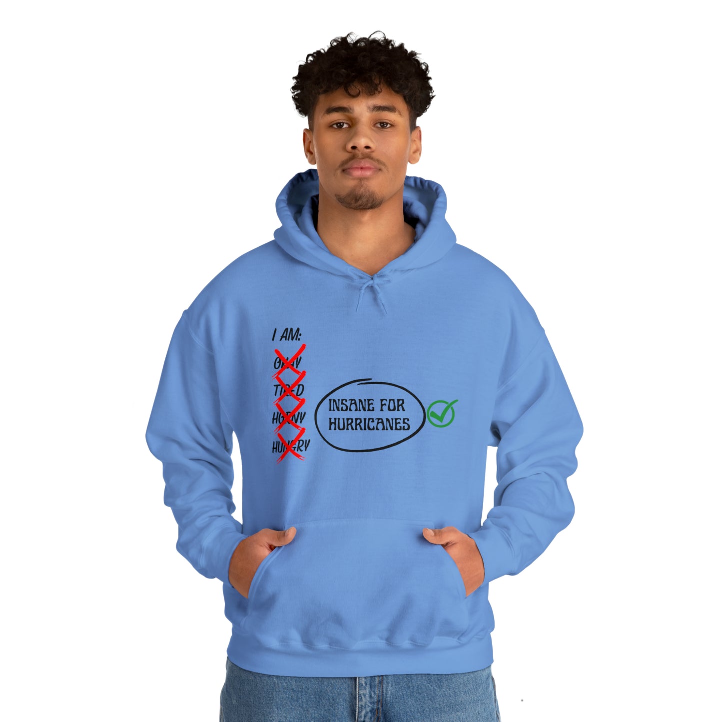 Insane for Hurricane Hoodie