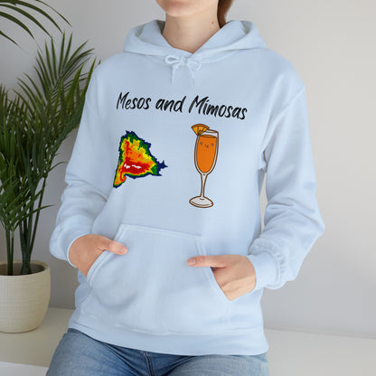 Mesos and Mimosas Hoodie