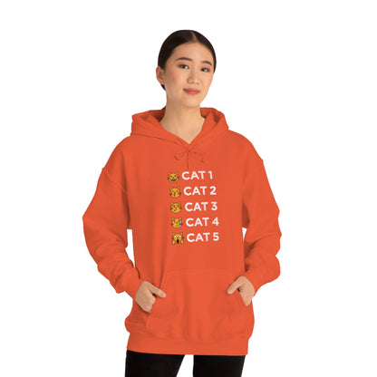 Cat-Egories Hoodie