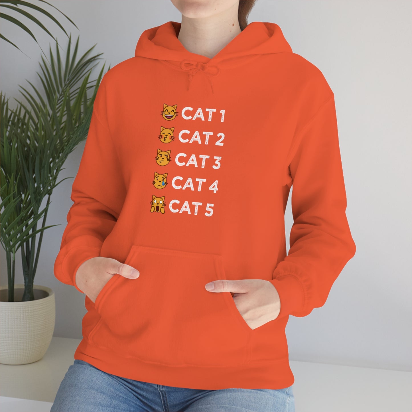 Cat-Egories Hoodie