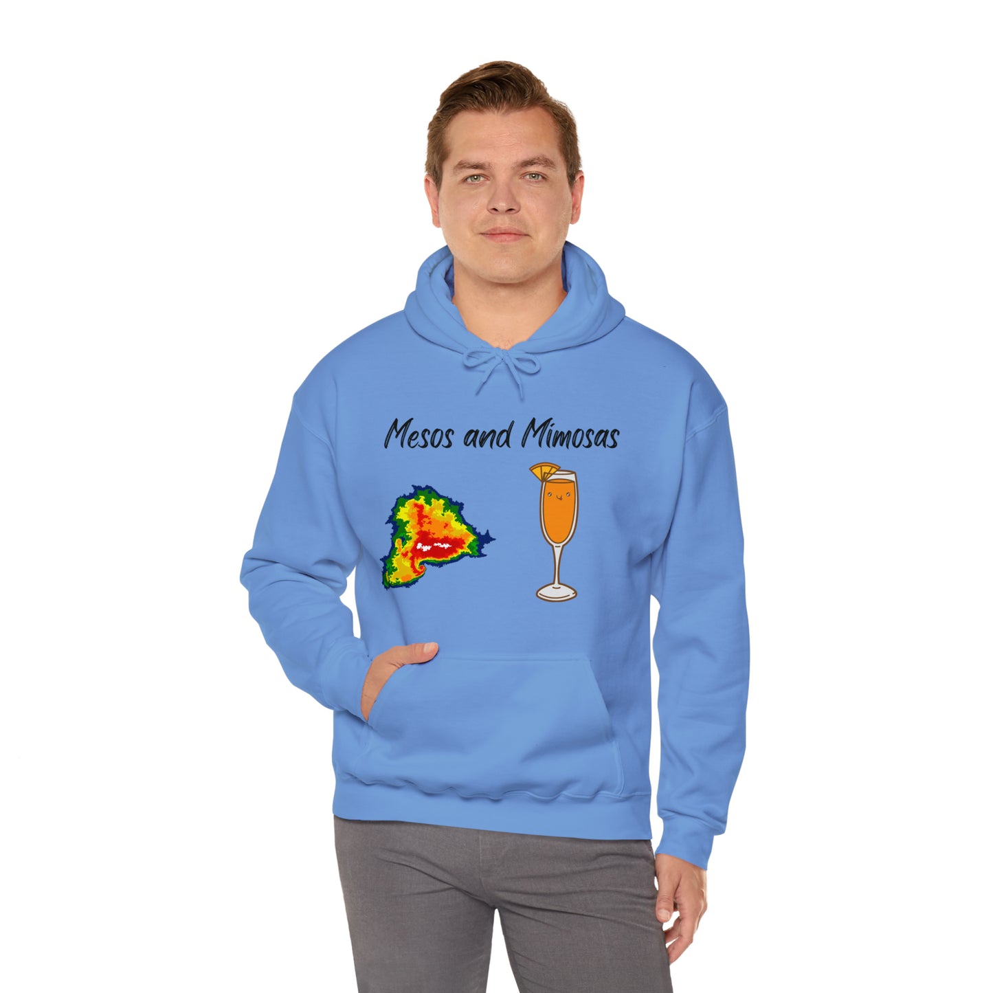 Mesos and Mimosas Hoodie