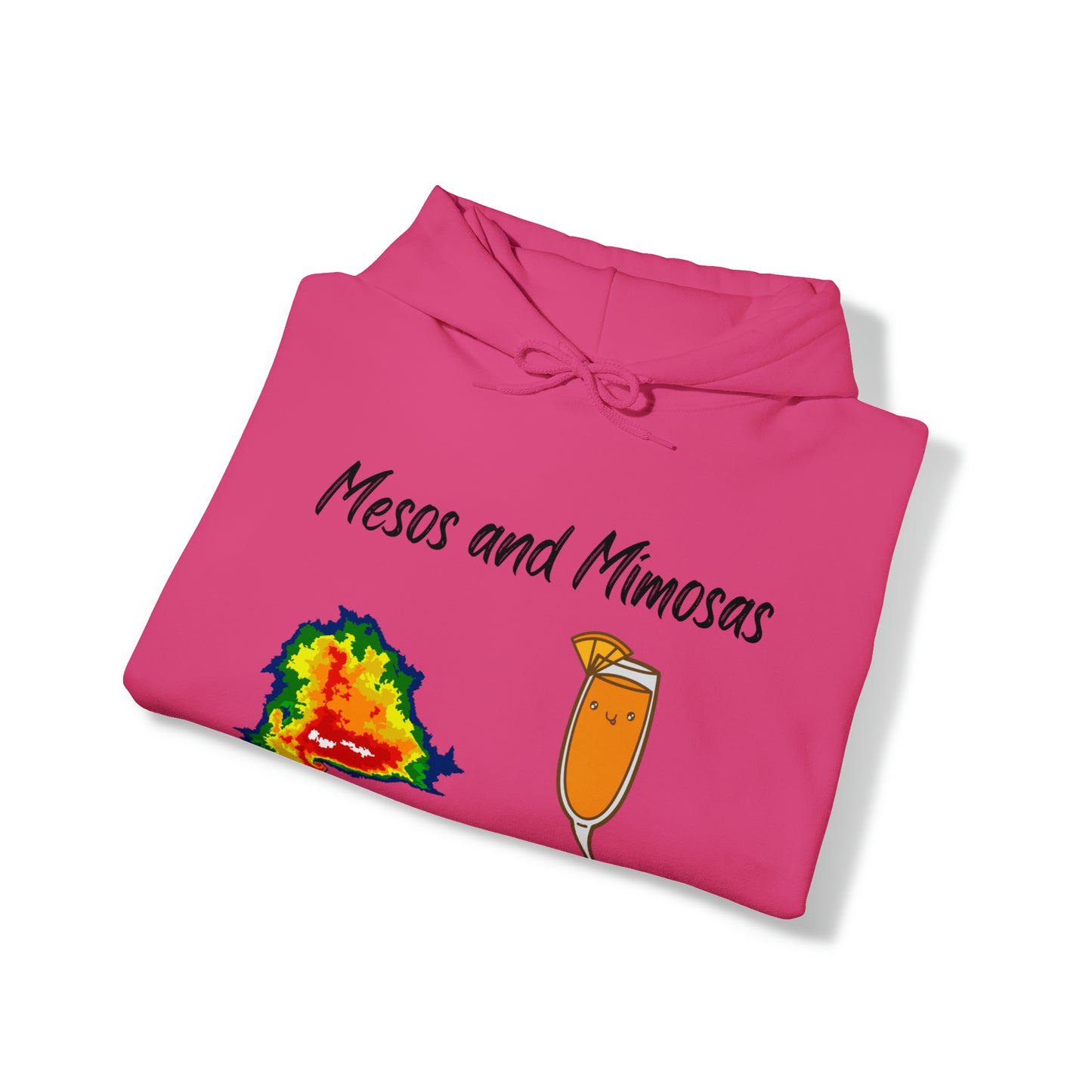 Mesos and Mimosas Hoodie