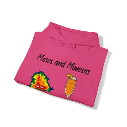 Mesos and Mimosas Hoodie