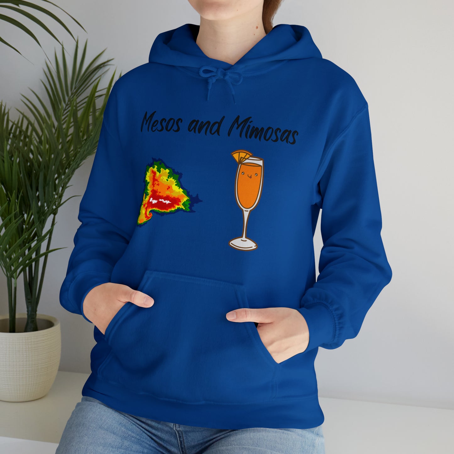 Mesos and Mimosas Hoodie