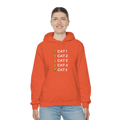 Cat-Egories Hoodie