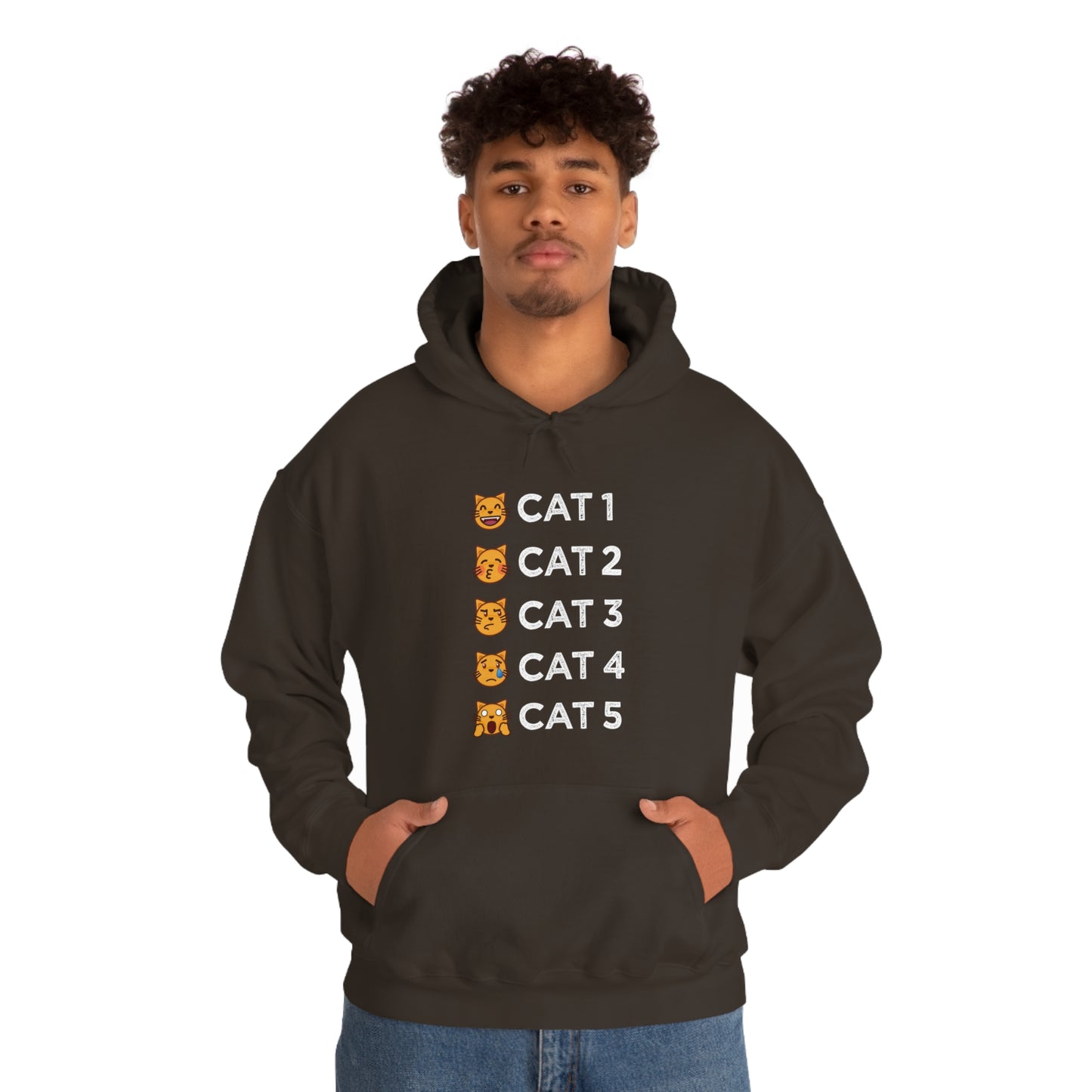 Cat-Egories Hoodie