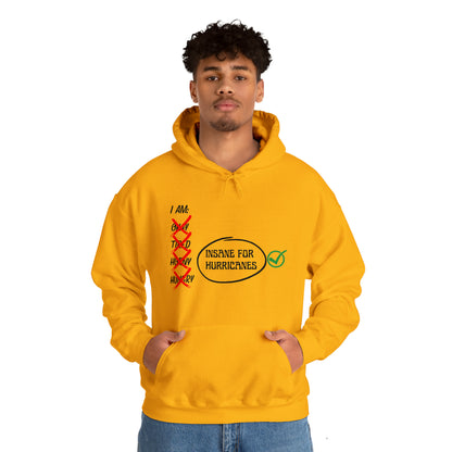 Insane for Hurricane Hoodie