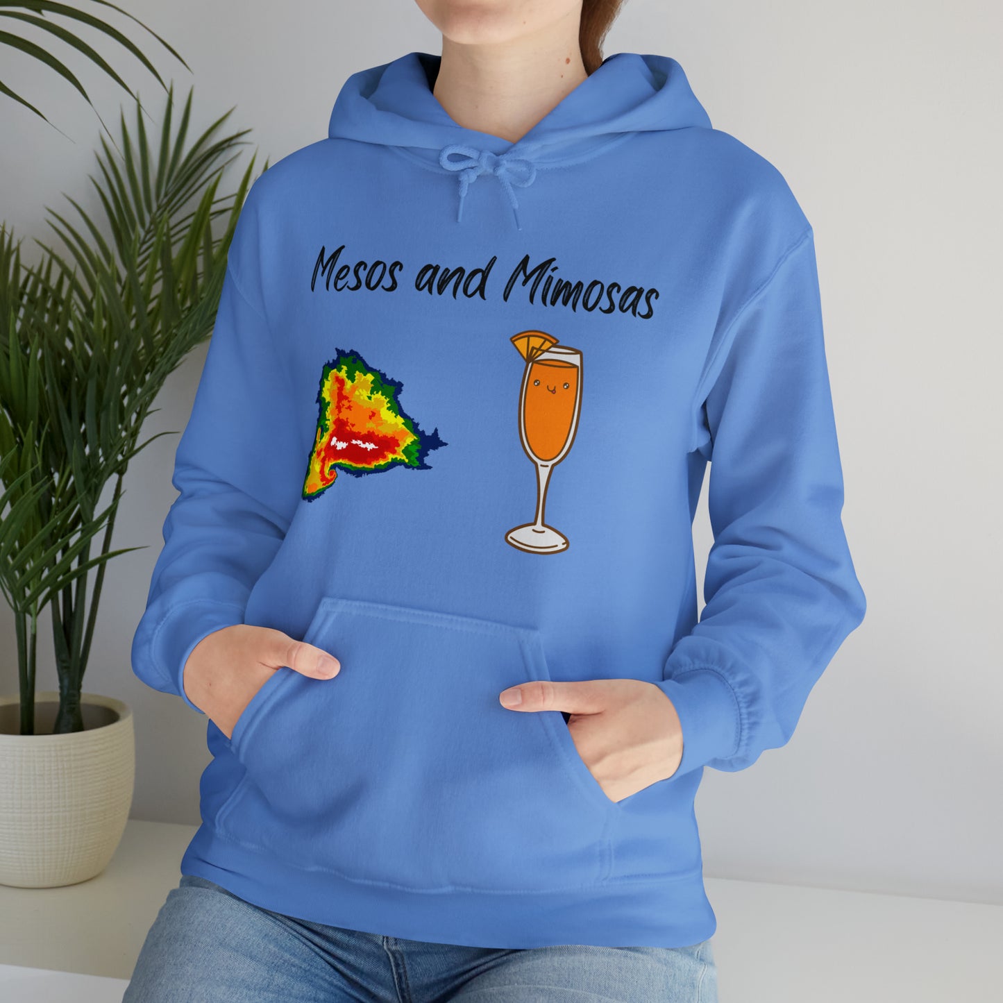 Mesos and Mimosas Hoodie