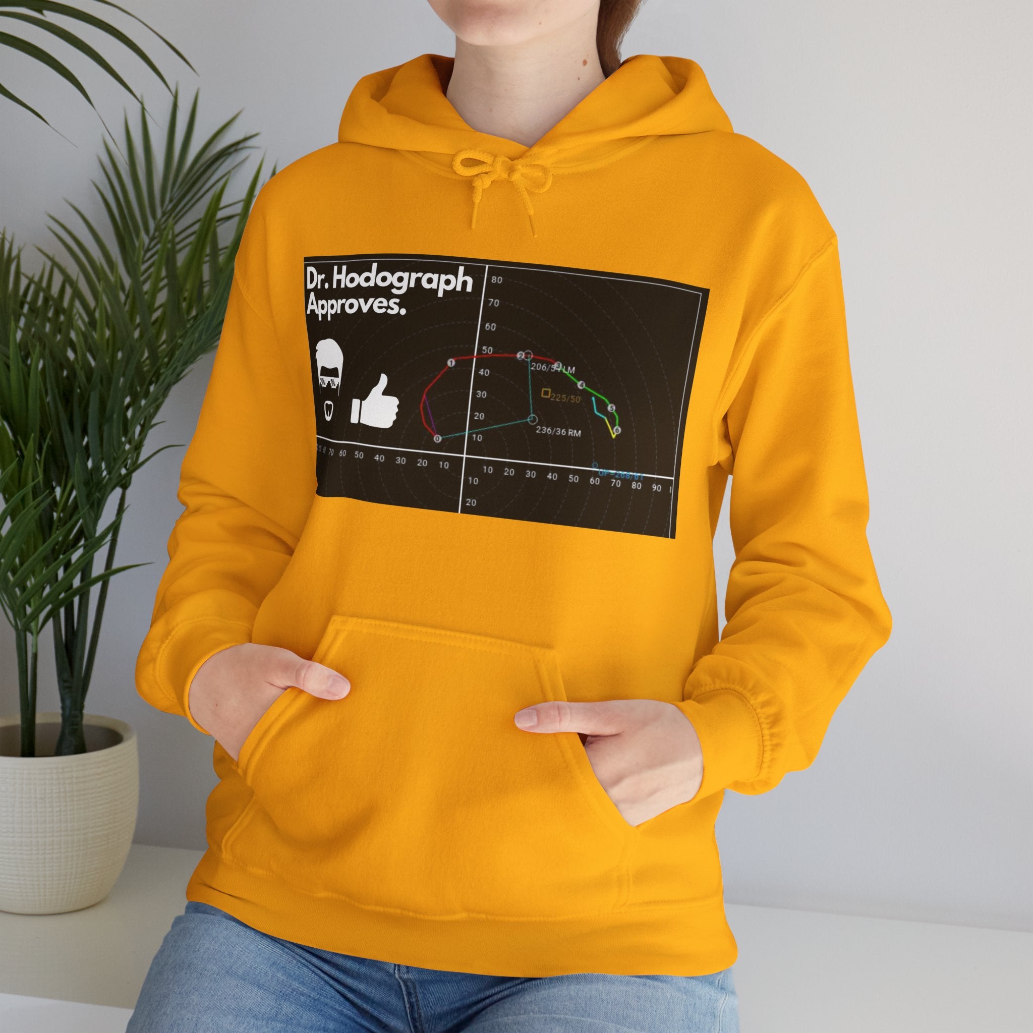 Dr Hodograph Approves Hoodie 