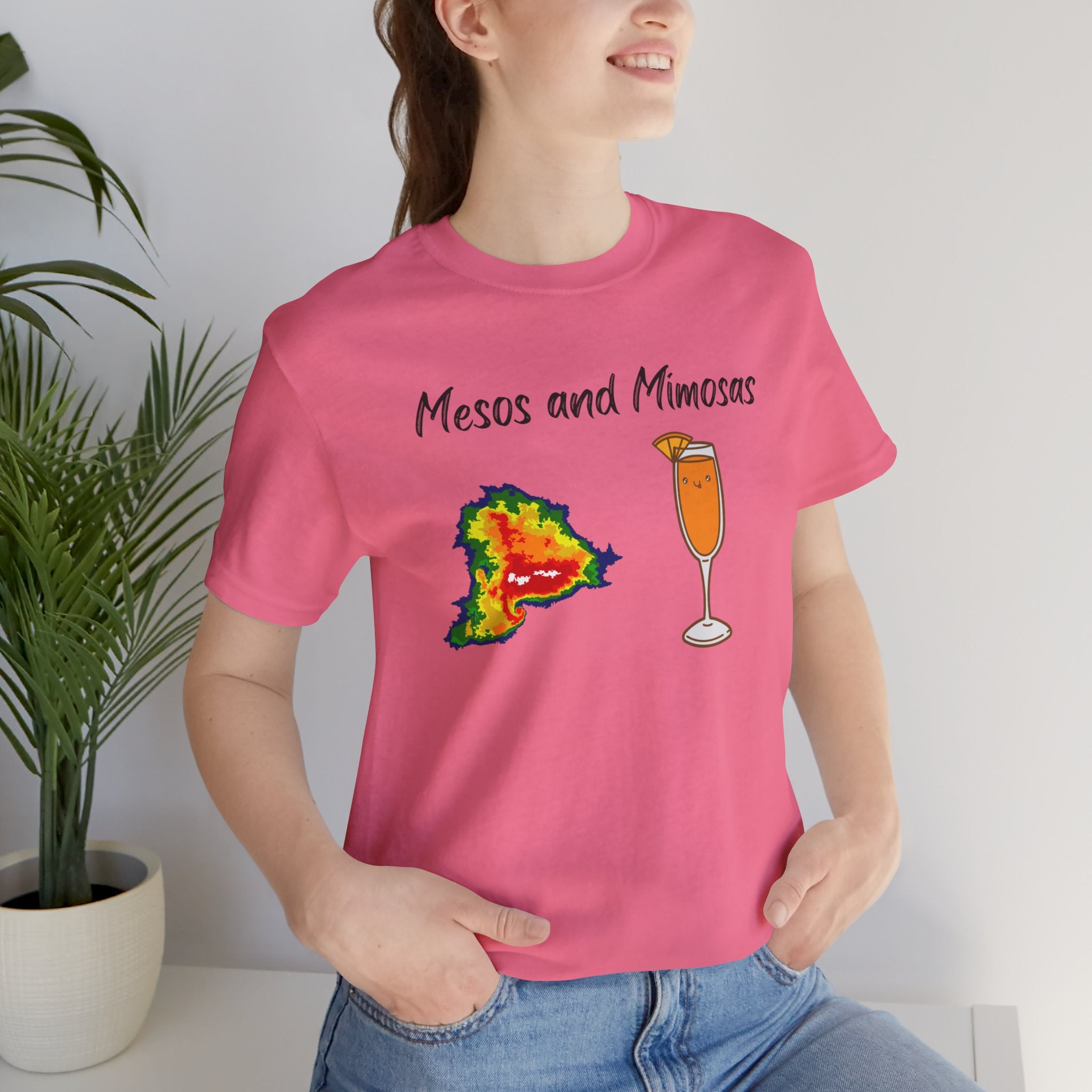 Mesos and Mimosas Tee 