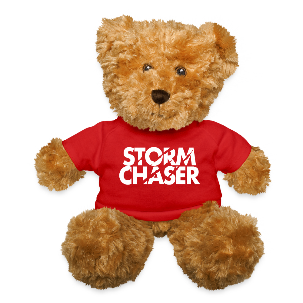 Stormy Bear - Official Mascot - red