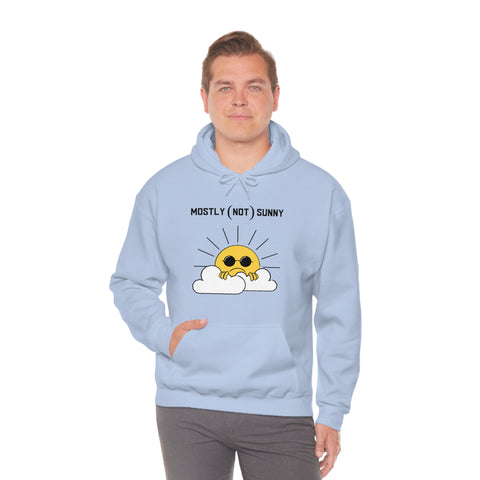 Mostly (Not) Sunny Hoodie