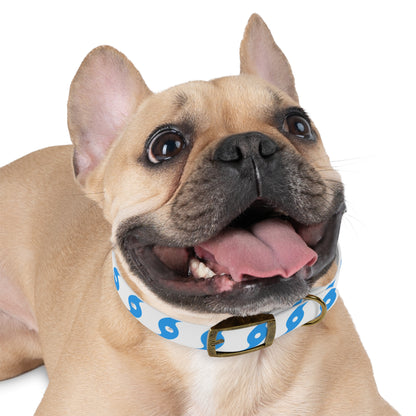 Hurricane Icon (Blue) Dog Collar