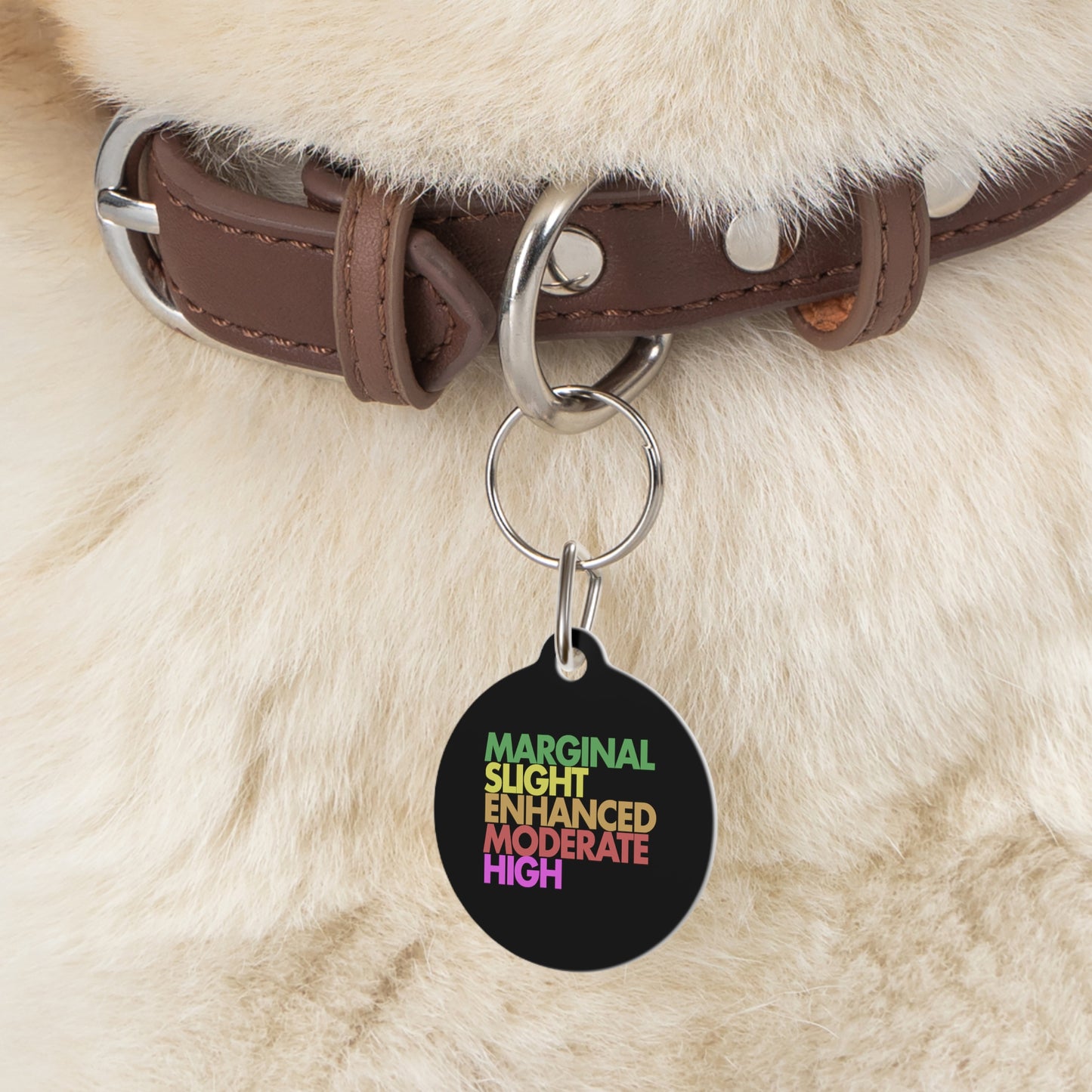 Severe Outlook Pet Tag