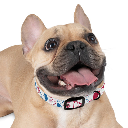 Wx Icon (Red/Blue) Dog Collar