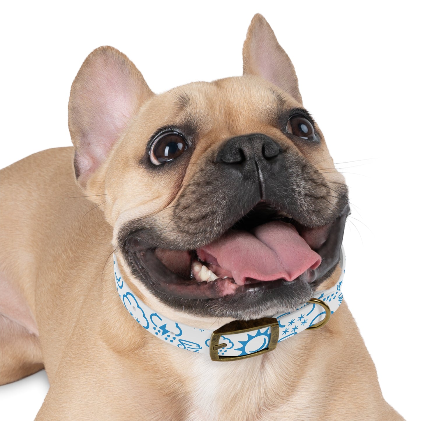 Wx Icon (White/Blue) Dog Collar