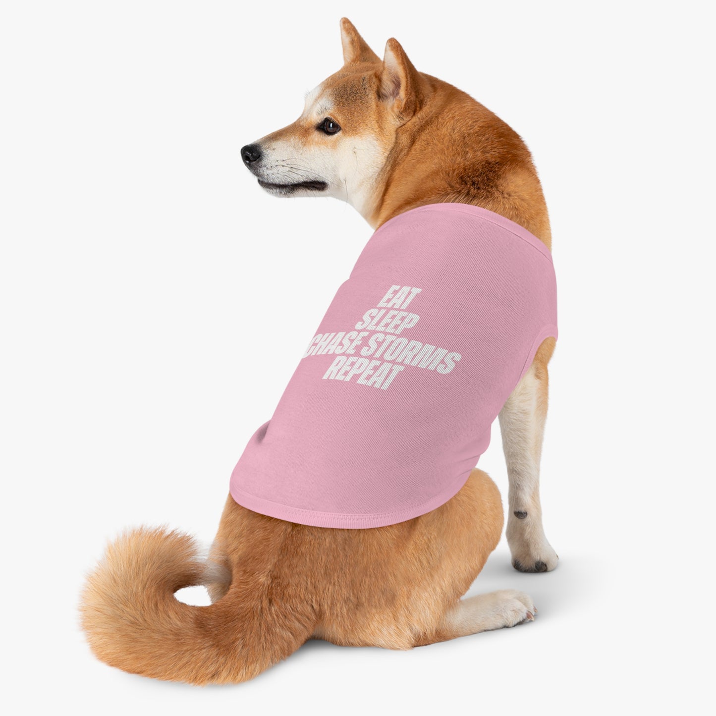 Eat, Sleep, Chase Storms, Repeat Pet Shirt