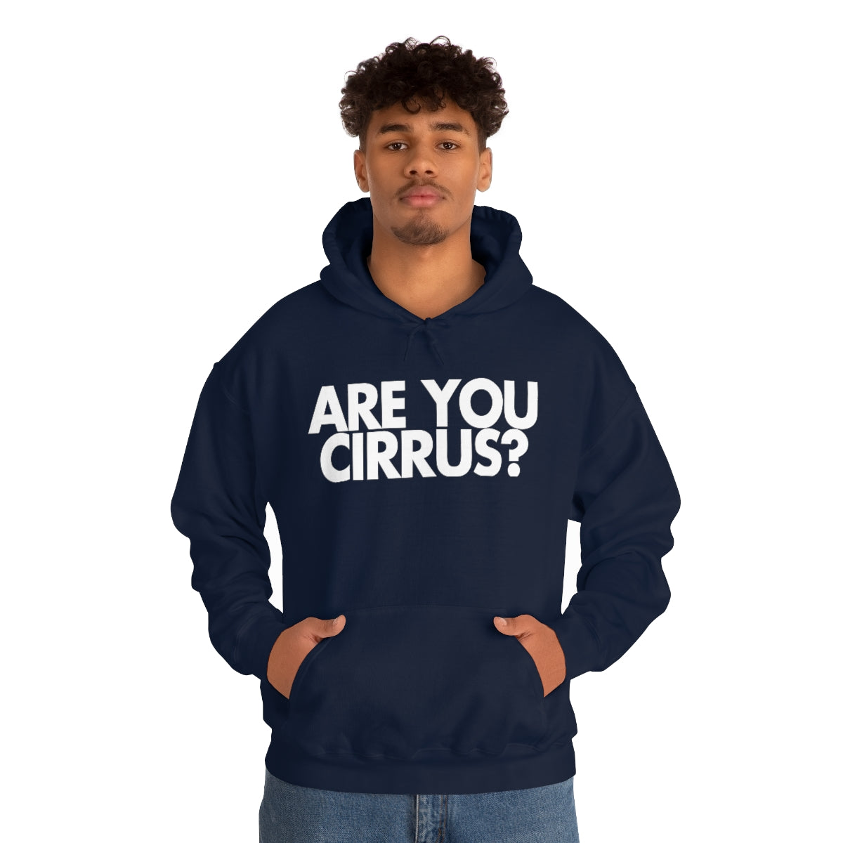 Are You Cirrus? Hoodie