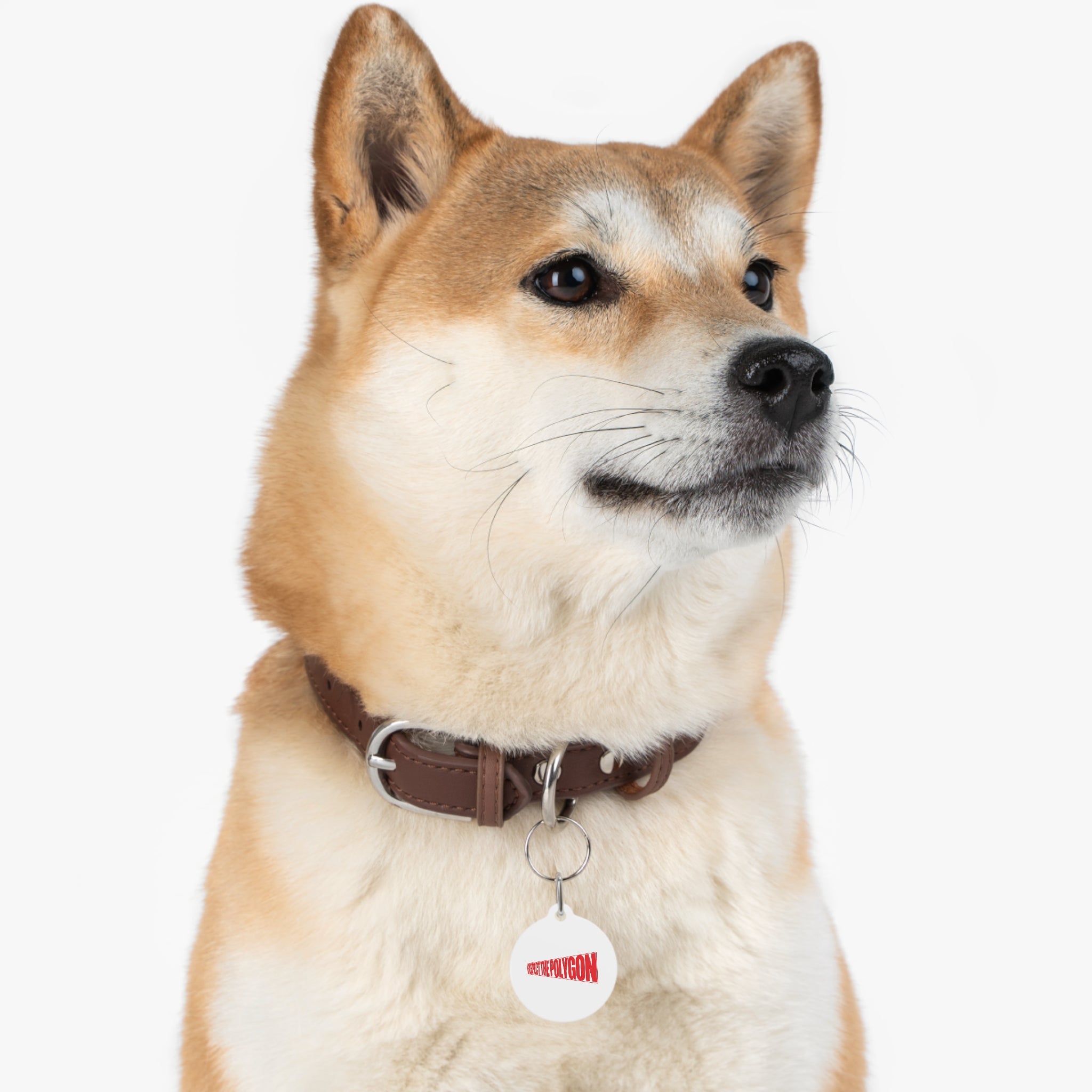 Respect The Polygon Pet Tag 