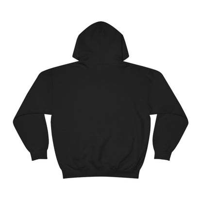 When will it hit my house? Hoodie