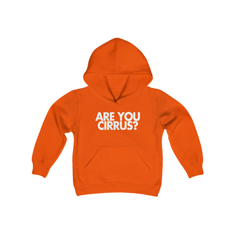Are You Cirrus? Children's Hoodie